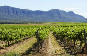 Pokolbin, Hunter Valley Pokolbin, Hunter Valley