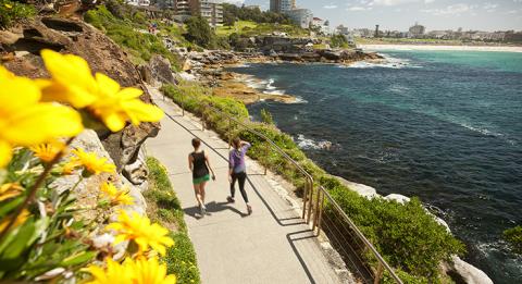 庫吉（Coogee）至邦迪（Bondi）海岸步道、邦迪至其他地方海岸步道