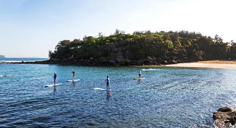 雪莉海灘（Shelly Beach）立式單槳滑浪，曼利（Manly）