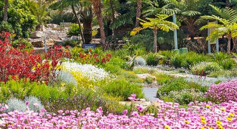 安南山澳洲植物園（The Australian Botanic Garden, Mount Annan）