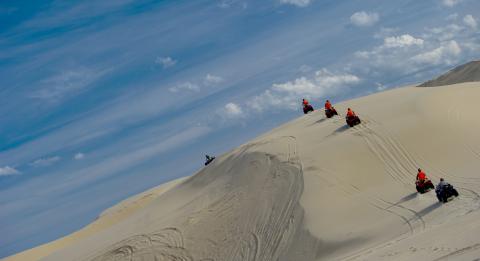 Sand Dune Adventures