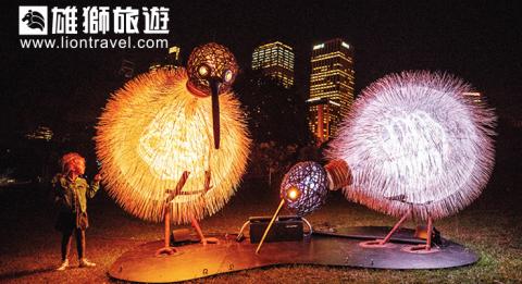 繽紛雪梨燈光音樂節