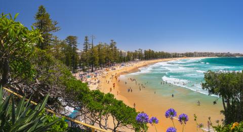 Crowds enjoying a Summer's day at Manly Beach, Manly