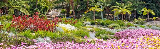 安南山澳洲植物園（The Australian Botanic Garden, Mount Annan）