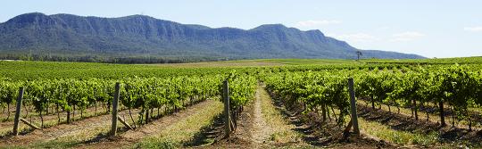 Drives and roadtrips, Hunter Valley